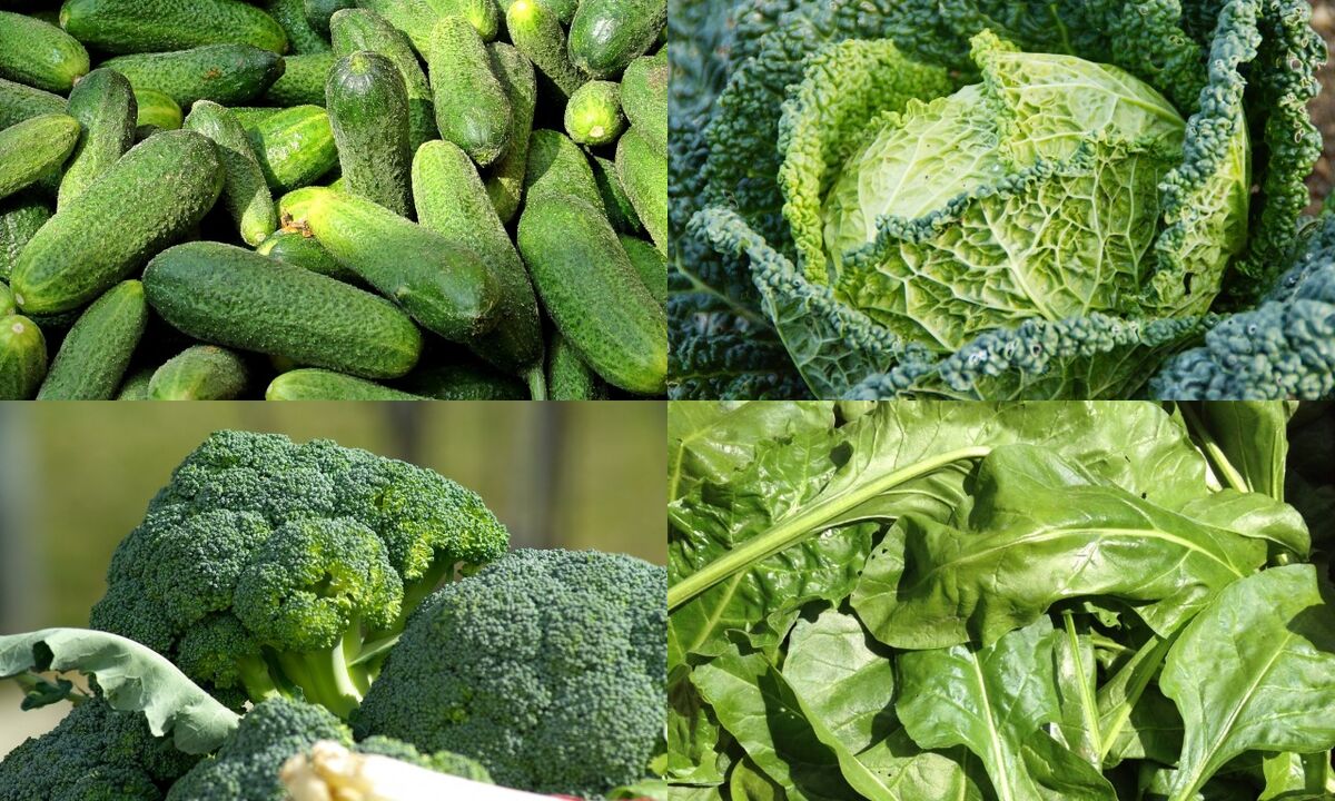 verduras